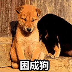 泫雅恋情现在什么情况,泫雅公开恋情原因