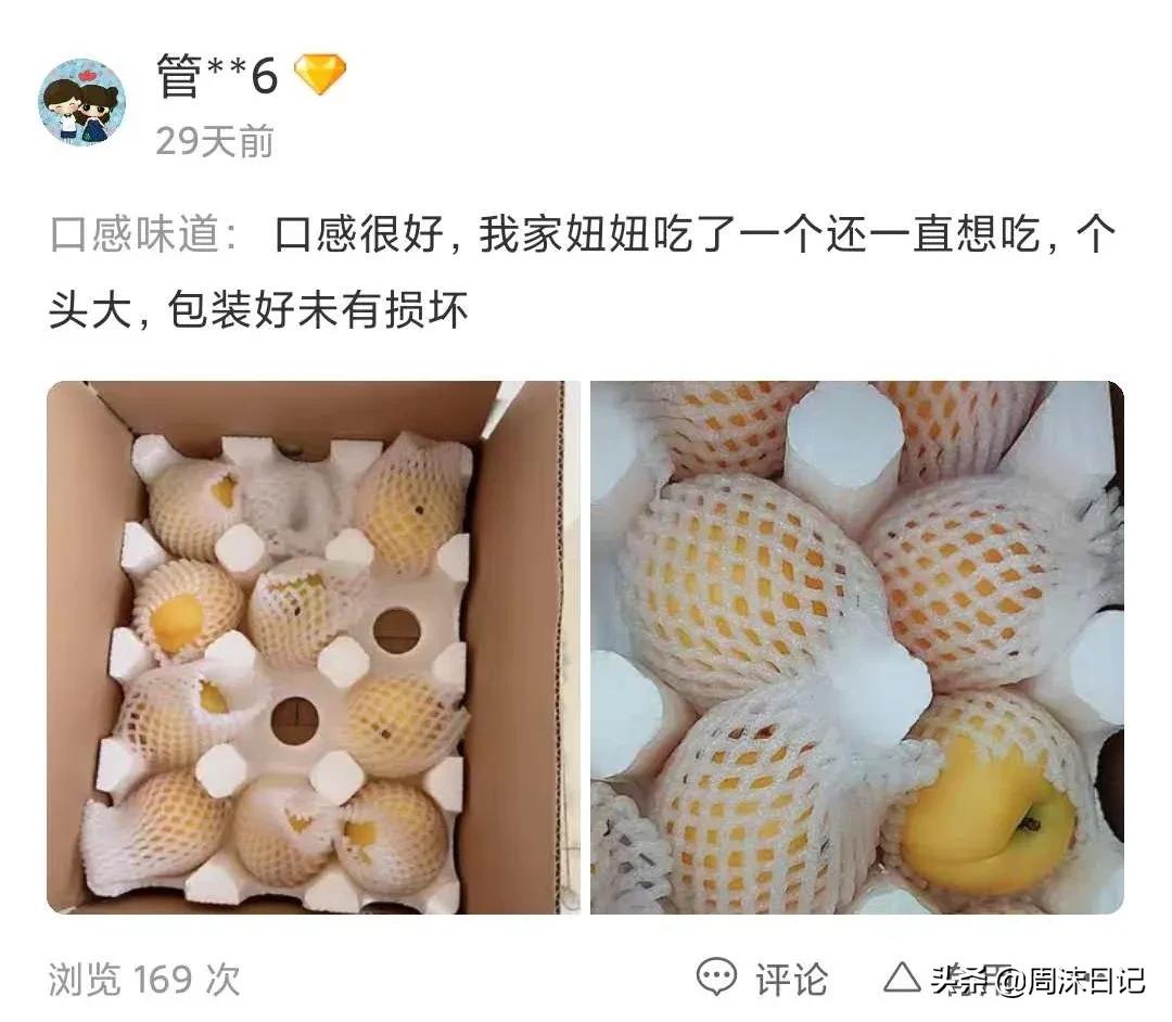 早熟的黄油桃,黄油桃无毛