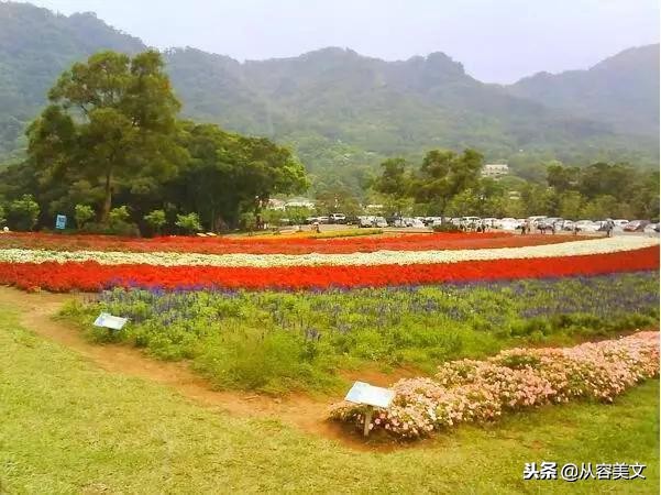 人生感悟的句子简单短句,简单人生感悟的经典句子