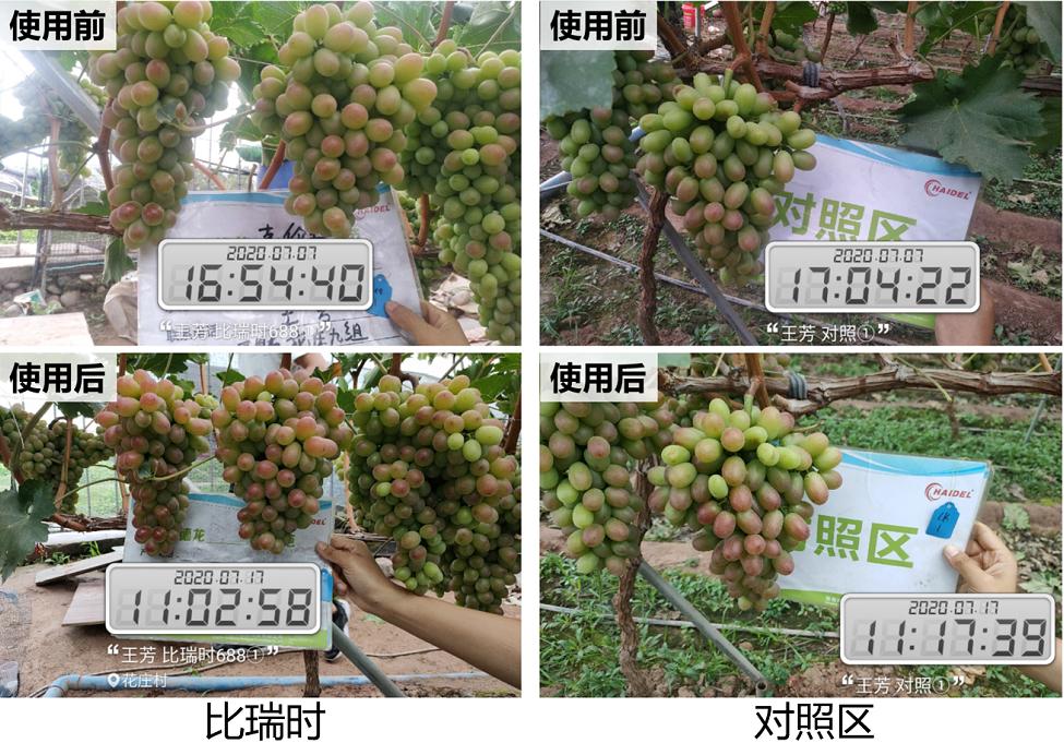 拒绝激素催熟着色，这才是转*界色**的传奇