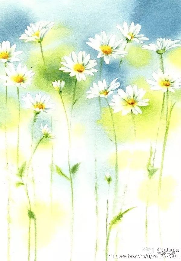 雪藻兰,雪藻兰独特作品