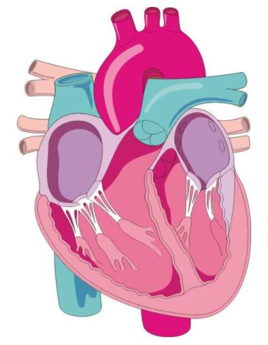 伤心欲绝是一种什么感觉,伤心绝望到一定程度就会大病一场