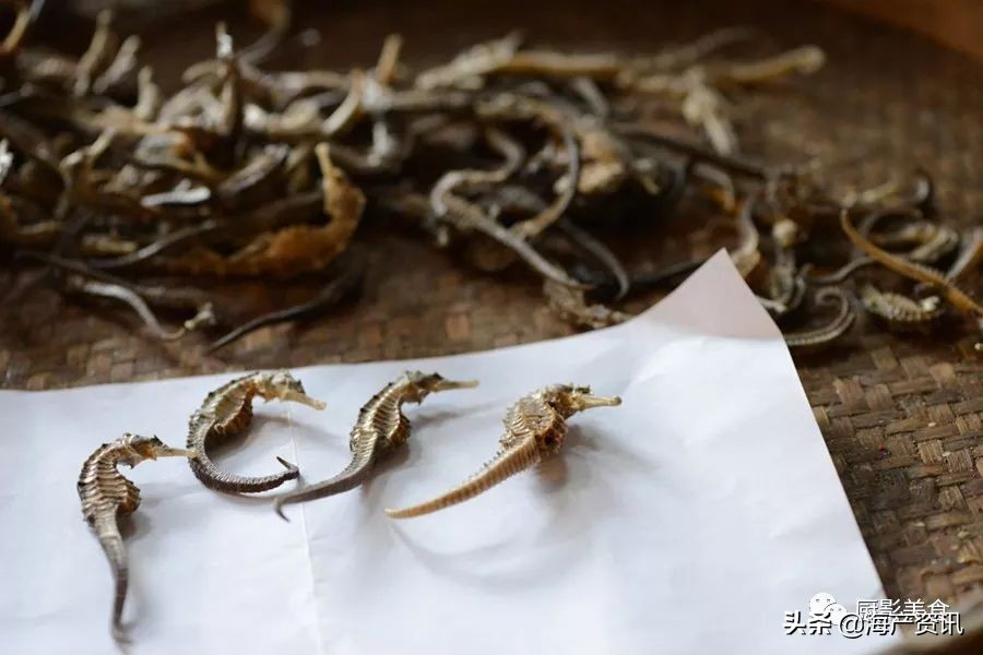 世界十大顶级海鲜品种,全球顶级海鲜食材大赏