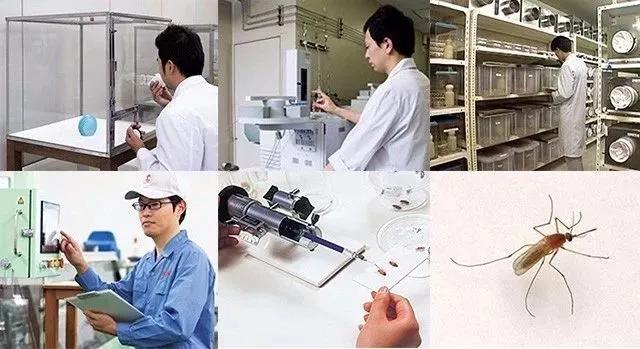 日本折叠蚊帐家用2022新款免安装,秒杀夏季防蚊折叠蚊帐