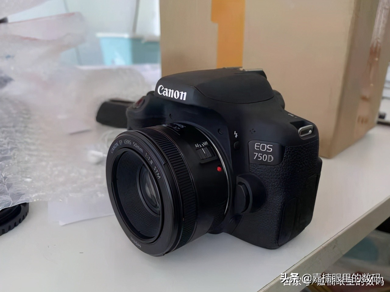 新手入门佳能哪一款相机比较好,佳能哪款相机推荐入手