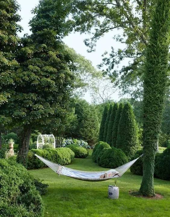 农村草坪花园设计实景图,花园草坪布局