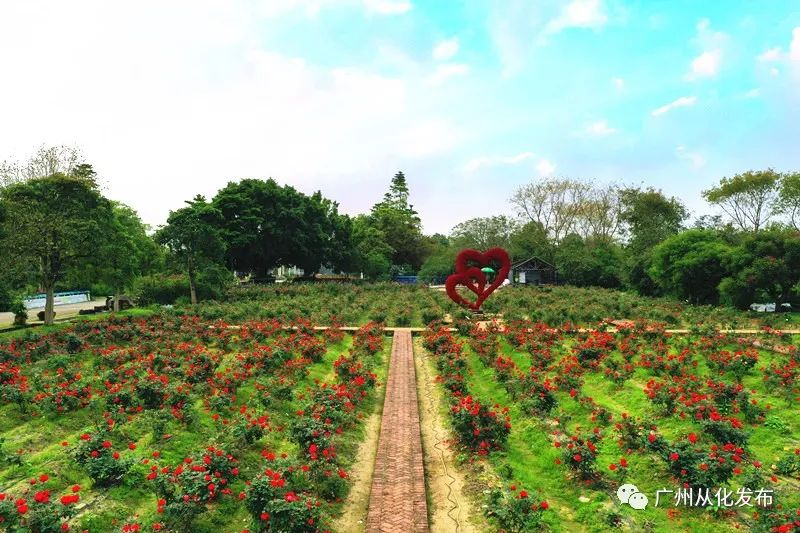 颜值100分以上,颜值100分气质100分