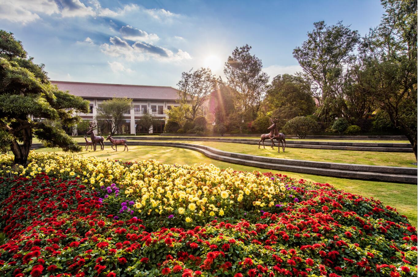 云南打卡景点推荐,云南大理网红打卡地