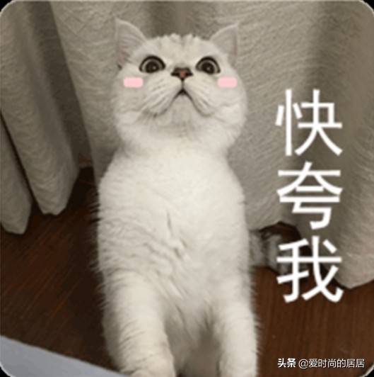 十大公认好用防晒霜不晒黑,夏季好用的防晒霜推荐防水防汗