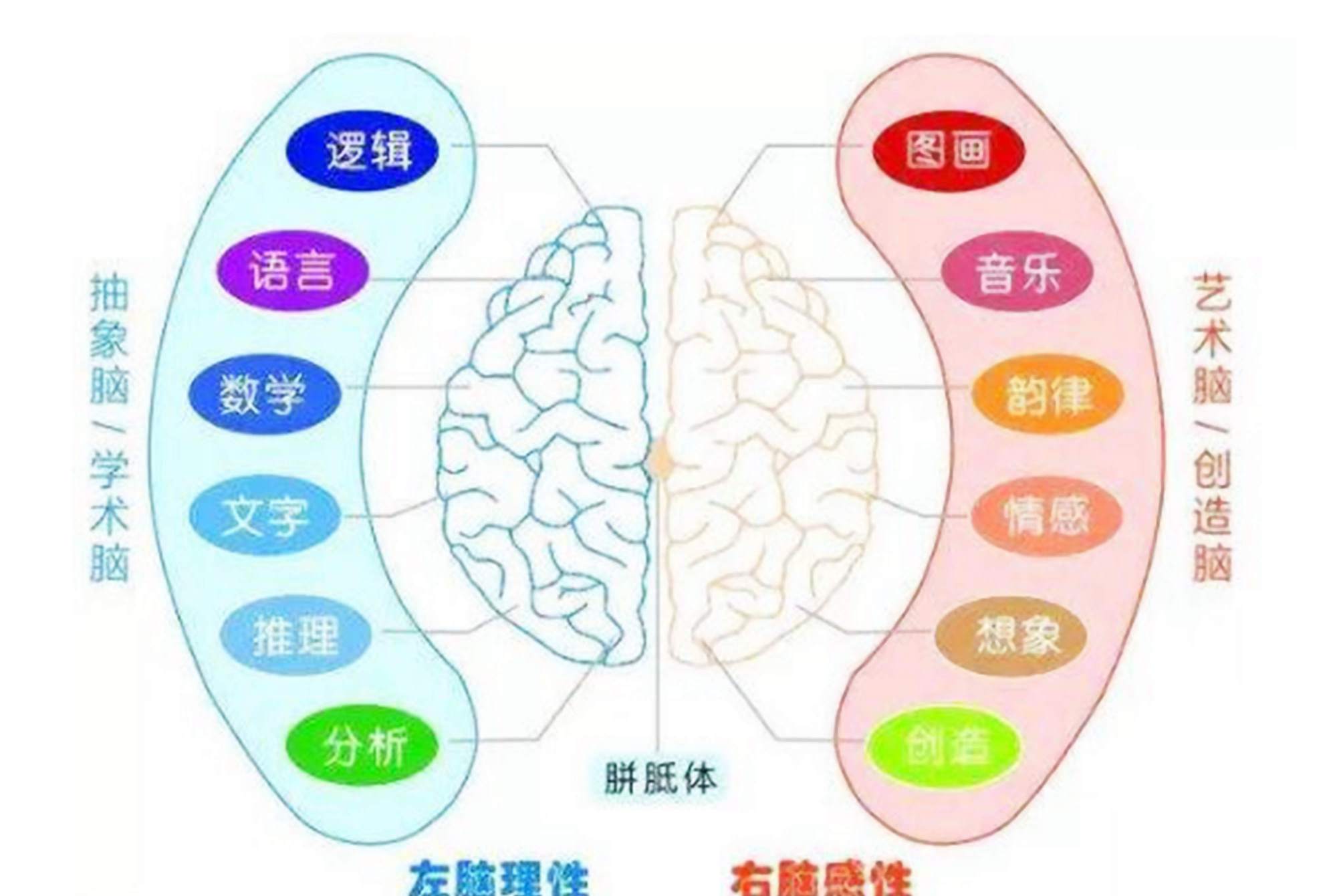 青春期孩子大脑什么时候开发,小孩大脑开发最佳的三个时间