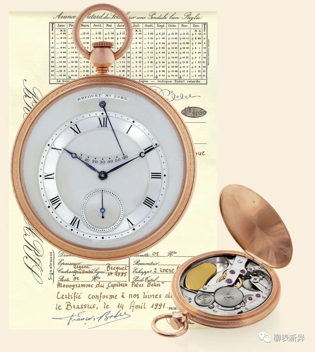 百里鸽是什么鸽,百里鸽是什么鸽图片