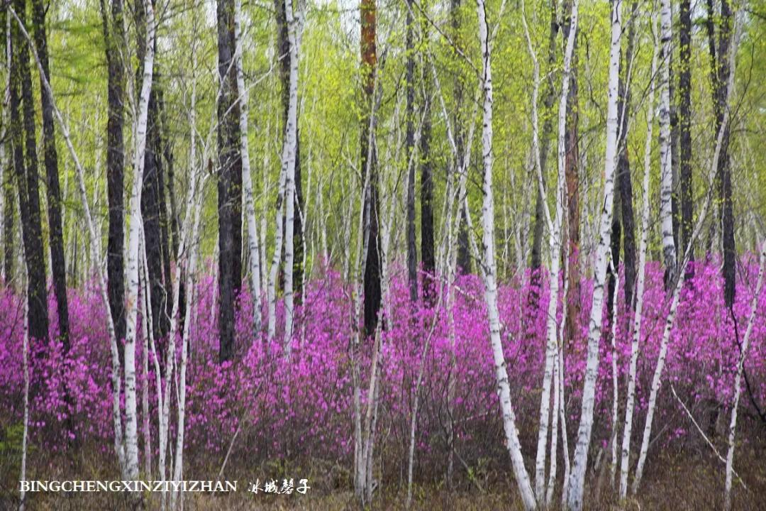 寻找中国最美的春季,探寻中国最美秘境