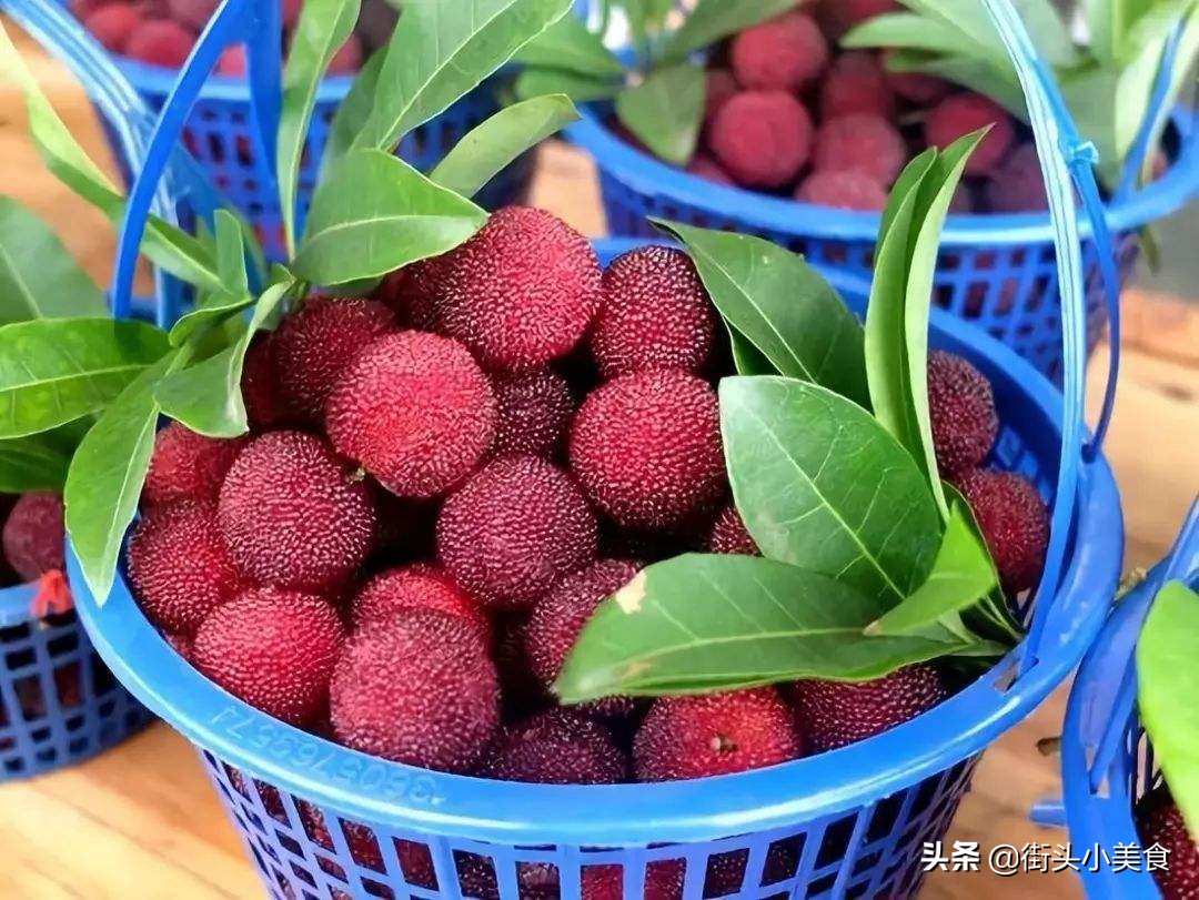 水果酒的酿制方法杨梅,杨梅酿酒的制酒方法