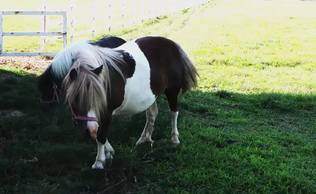 小学生陕西西安封闭式足球夏令营,西安少年夏令营团购