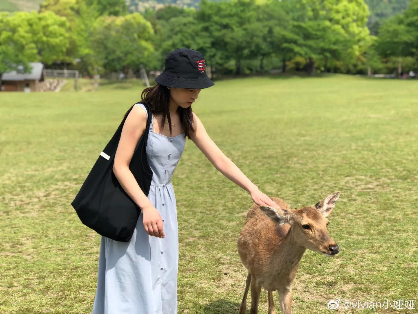 日本大阪旅游攻略最新,日本大阪旅游攻略一天多少钱