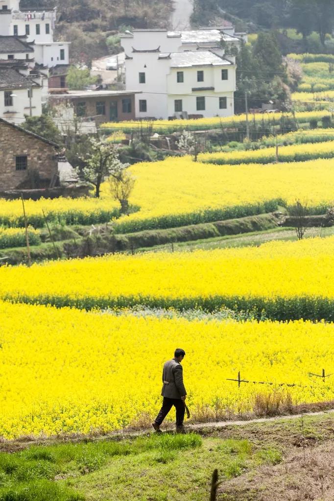 超适合一个人的15个国内外旅行地,国内适合一个人旅行的景点有哪些