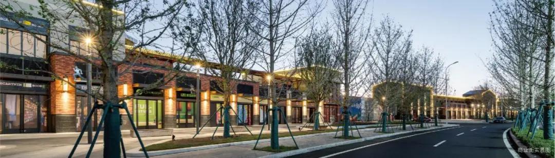 探寻北纬37度的秘密——一个向海而生的乐活小镇