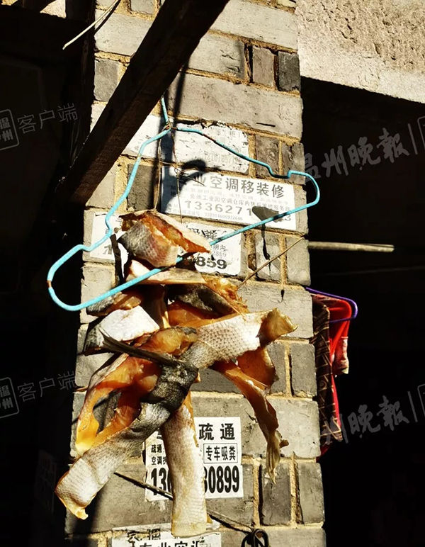 过年买鱼当心！鱼贩往水里加柴油快死鱼竟活蹦乱跳