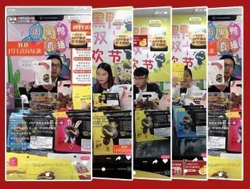 「第17期」莲都电商近期回顾