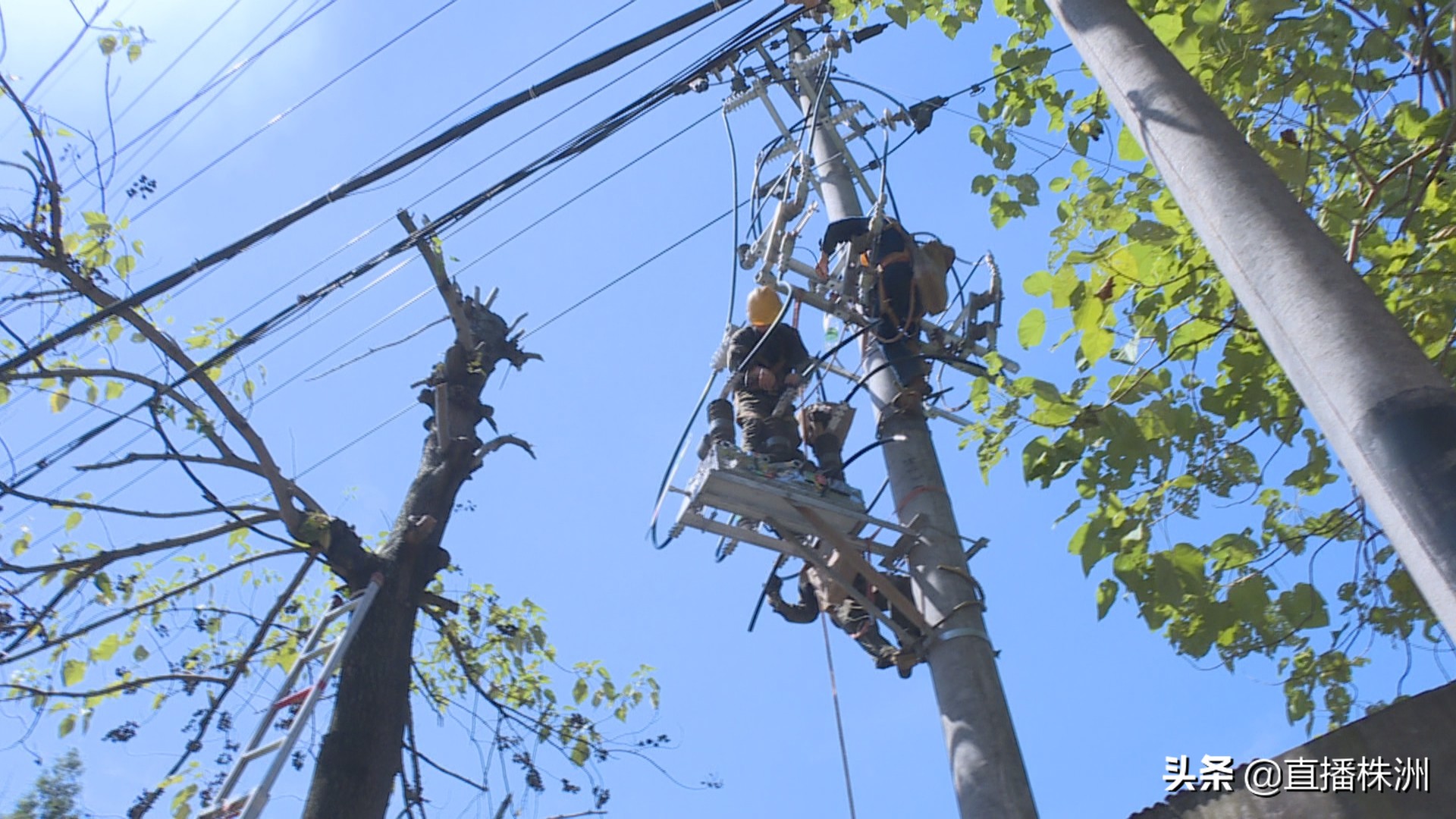经常接触沥青的容易患什么职业病,接触沥青易得职业病