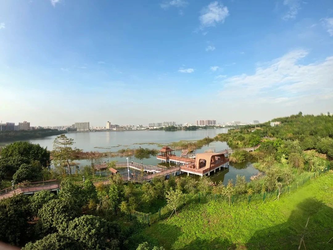 深圳11号线哪一站下车可以看海,坐深圳11号线去看海的地方