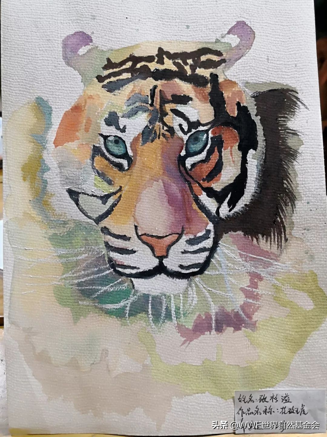 守护王者归来，邀你来画虎