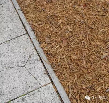 微景观材料的作用,微景观生态材料