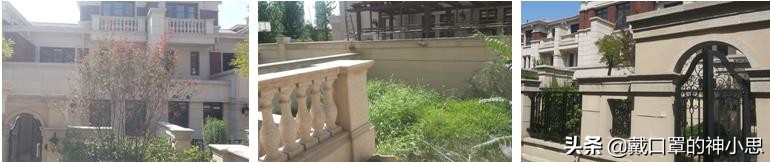 大师美式别墅设计,美式别墅设计轻奢