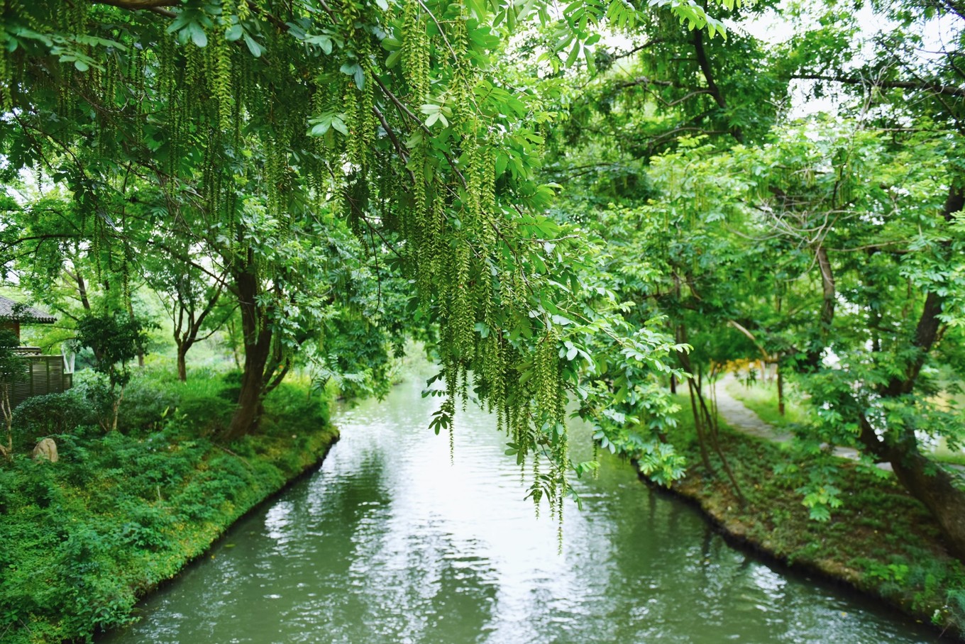 绿色世界花的海洋，在十里芳菲宠爱自己的24小时