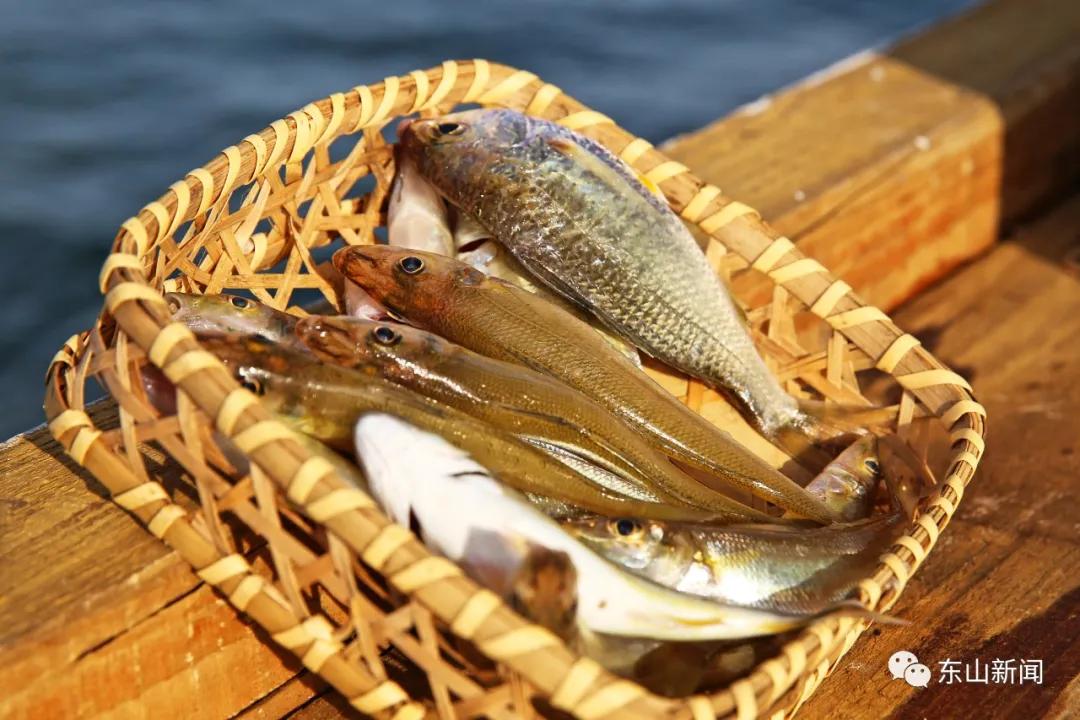 海上去哪玩,东山岛海边哪里有螃蟹抓