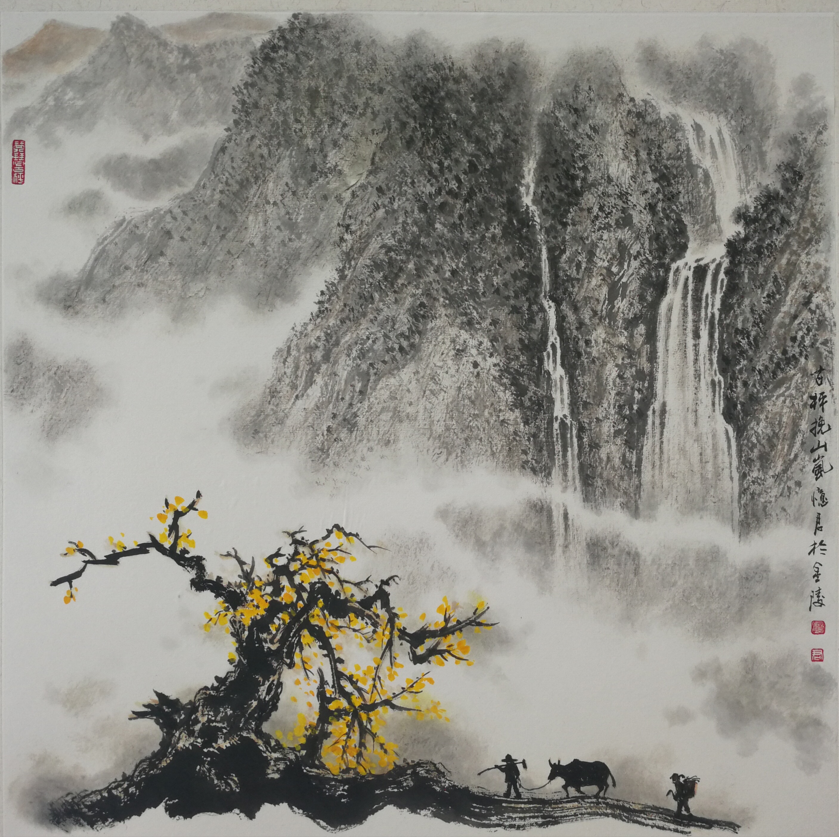 忆君银杏作品欣赏,忆君银杏画