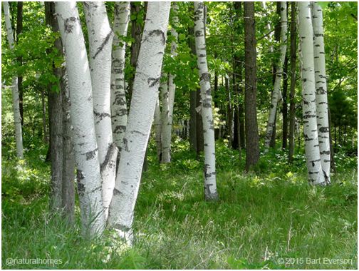 人生在世要必备的生活技能