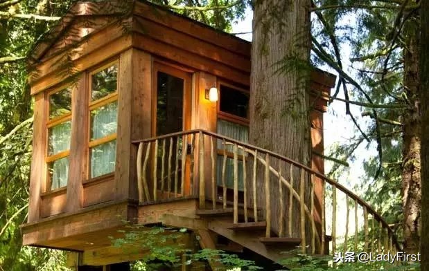 提升女孩子气质的纪录片,女性提高见识的电影