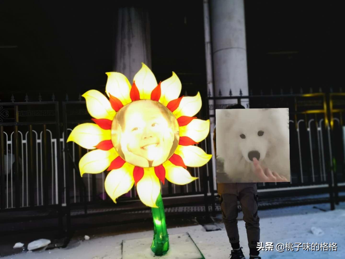 沈阳奥体冰雪嘉年华值不值得去,沈阳丁香湖奥悦冰雪嘉年华