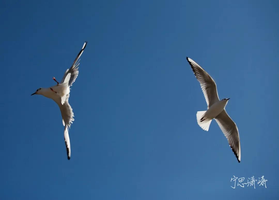 “5”缘有缘我与摄影的故事也是我与佳能“5”的故事