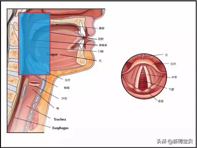 宝宝嗓子呼噜有痰小妙招,宝宝嗓子呼噜呼噜响是怎么回事