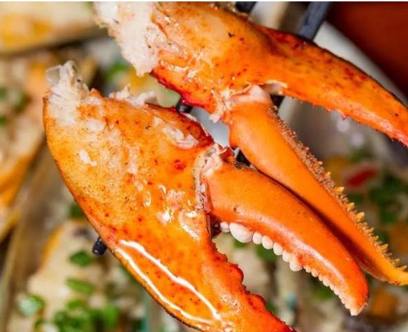 宝可梦三大组合,宝可梦3级三明治