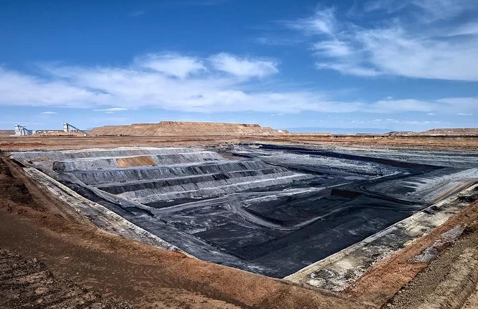 我,50岁,山东女人,老公生意失败欠款1000万,我种花帮他还债