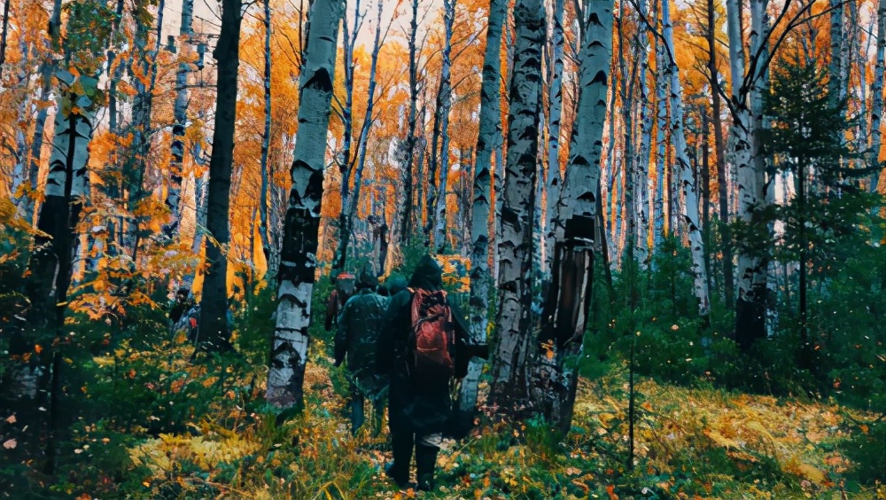 西伯利亚入夏火灾频发中俄白桦茸企业启动原料保障计划