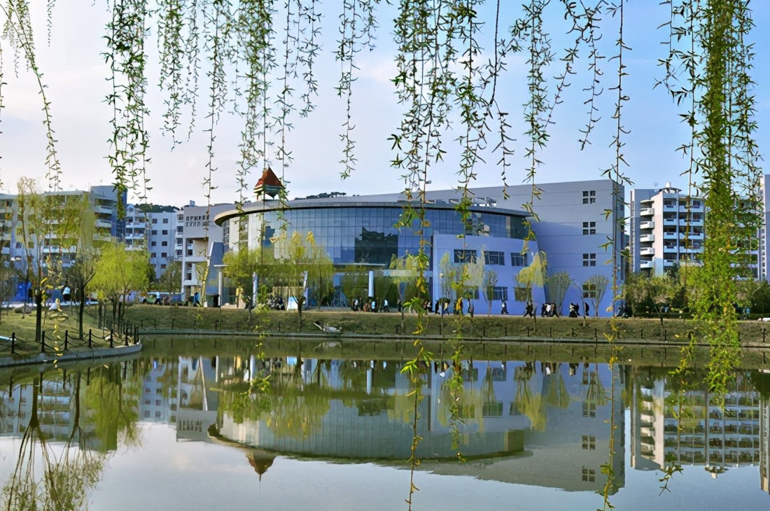 毕业去向落实情况核验,毕业去向落实率和就业率区别