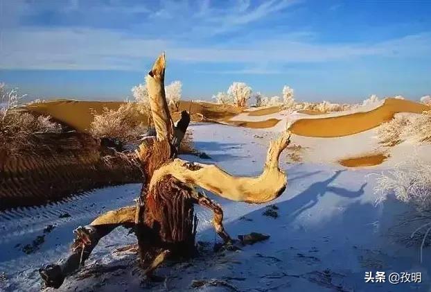 再次接回星期六卖飞绿庭投资大盘重新上攻积极看待后市