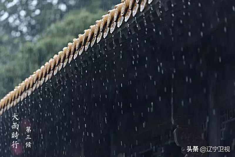 大暑酷热,大暑蝉鸣声