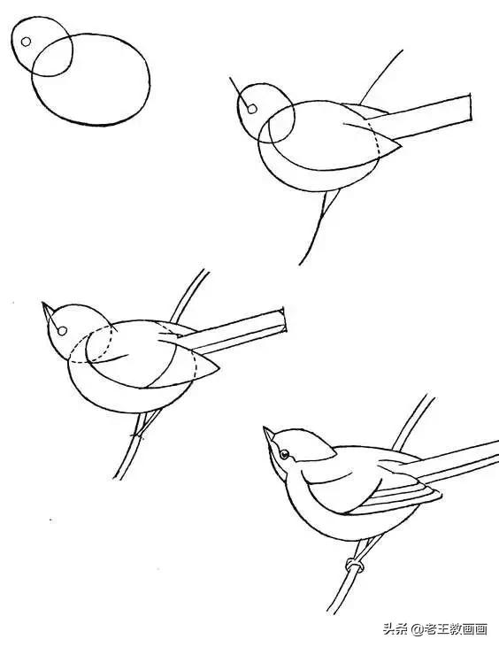最简单的简笔画教程,超简单儿童简笔画入门初学