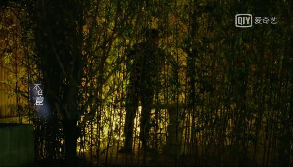 心动3女嘉宾,心动3嘉宾信息