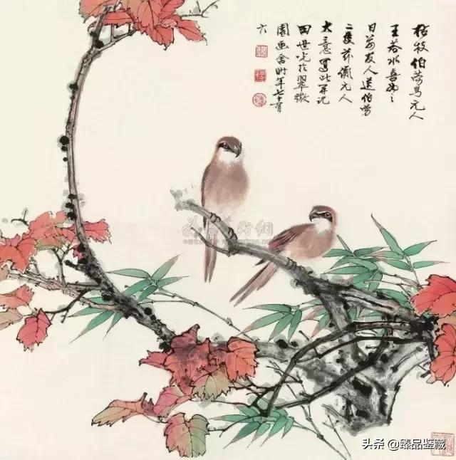 工笔大师田世光,工笔画大师田世光画孔雀好美