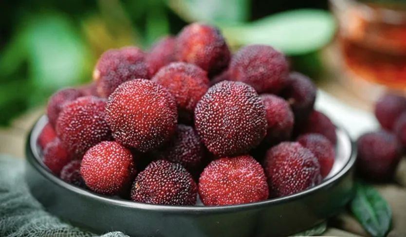 鲜丰水果百果园加盟,鲜丰百果园