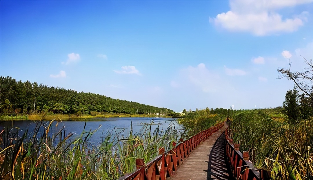 泸州旅游推荐景点大全最新,合肥旅游免费景区推荐