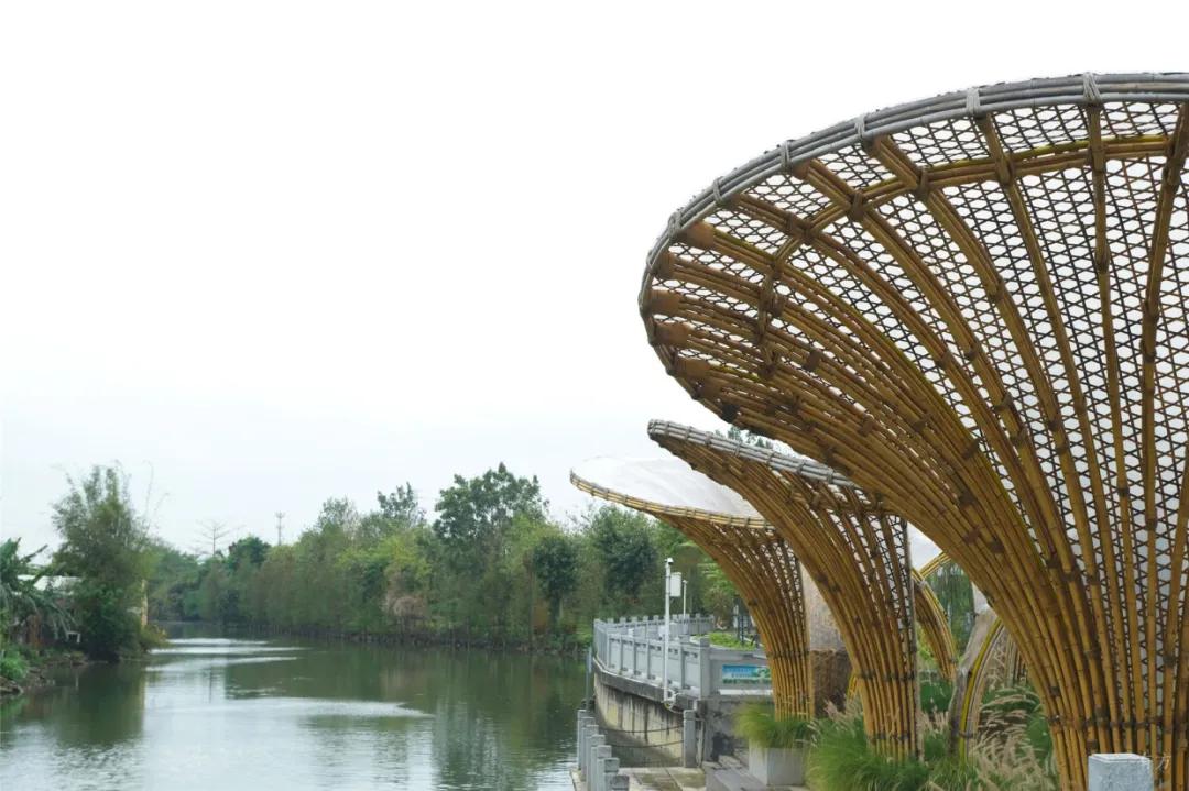 广东美丽乡村别墅设计案例,美丽乡村改造的典型案例