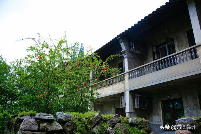 这个夏日，看这个美女如何在浙江乌村的第一百种玩法