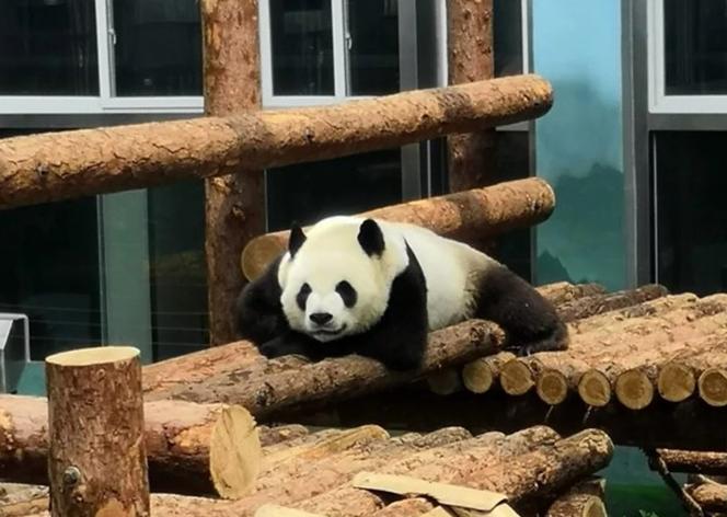 大连行程攻略,大连旅行攻略详细路线推荐图